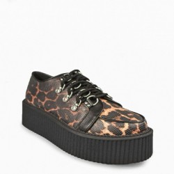 KILLSTAR Scratched Out Creepers Leopard