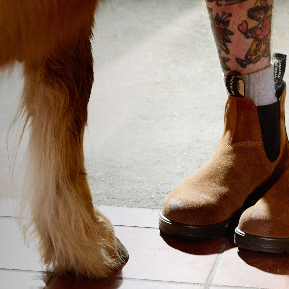 Blundstone 2621 Glazed Ginger
